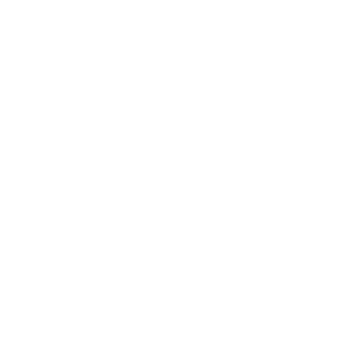 ícone de uma proteção realizada por firewall e proxy